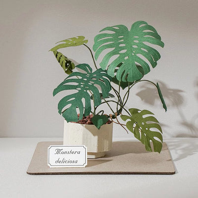 PUZZLE 3D PAPEL -KIT DIY /MONSTERA DELICIOSA🌿