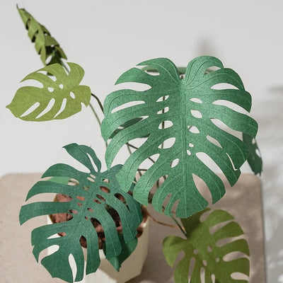 PUZZLE 3D PAPEL -KIT DIY /MONSTERA DELICIOSA🌿